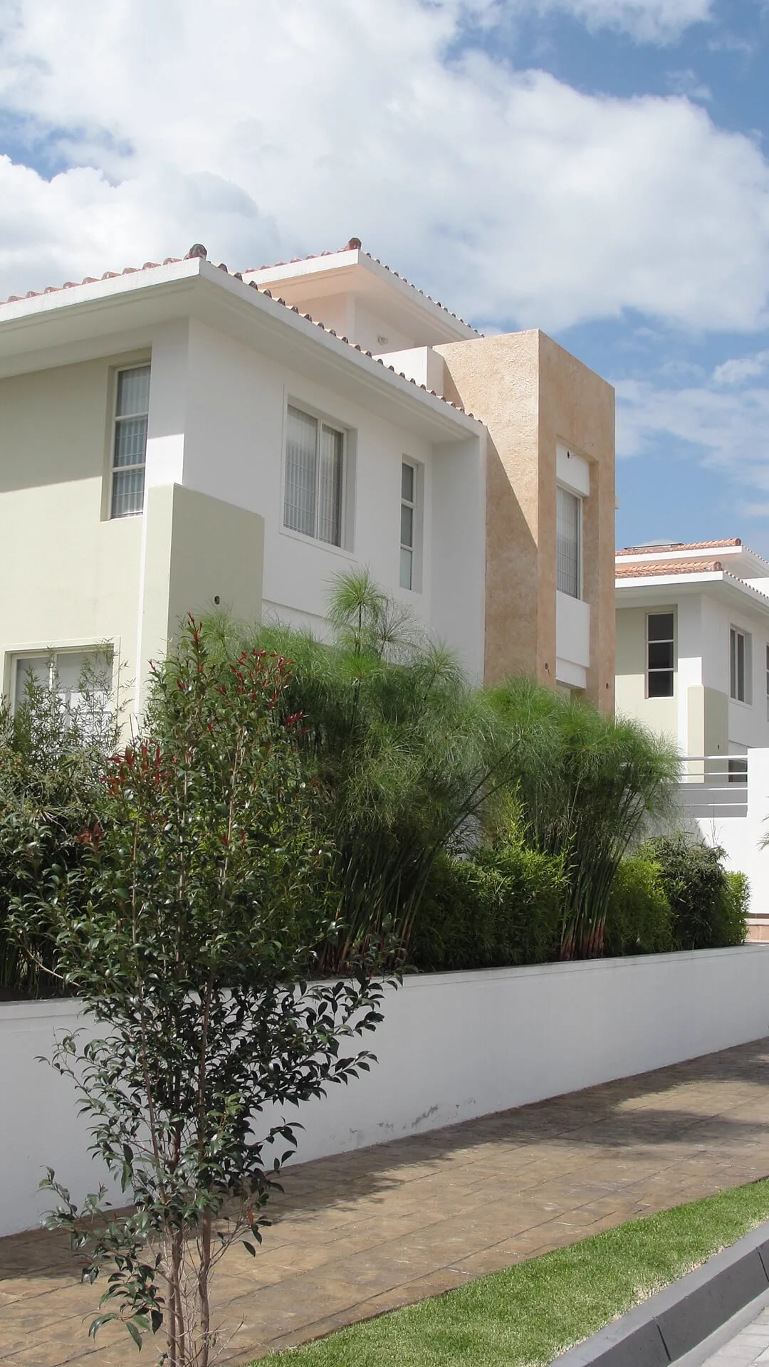 proyecto arquitectura estudio Irigoyen